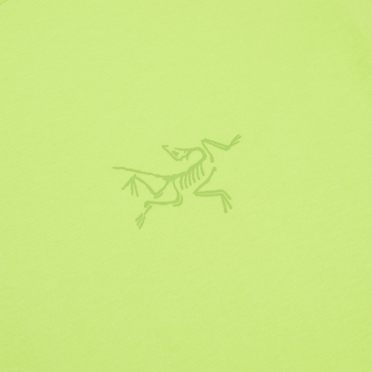 Arc'teryx Kragg Cotton LS M (Mantis)